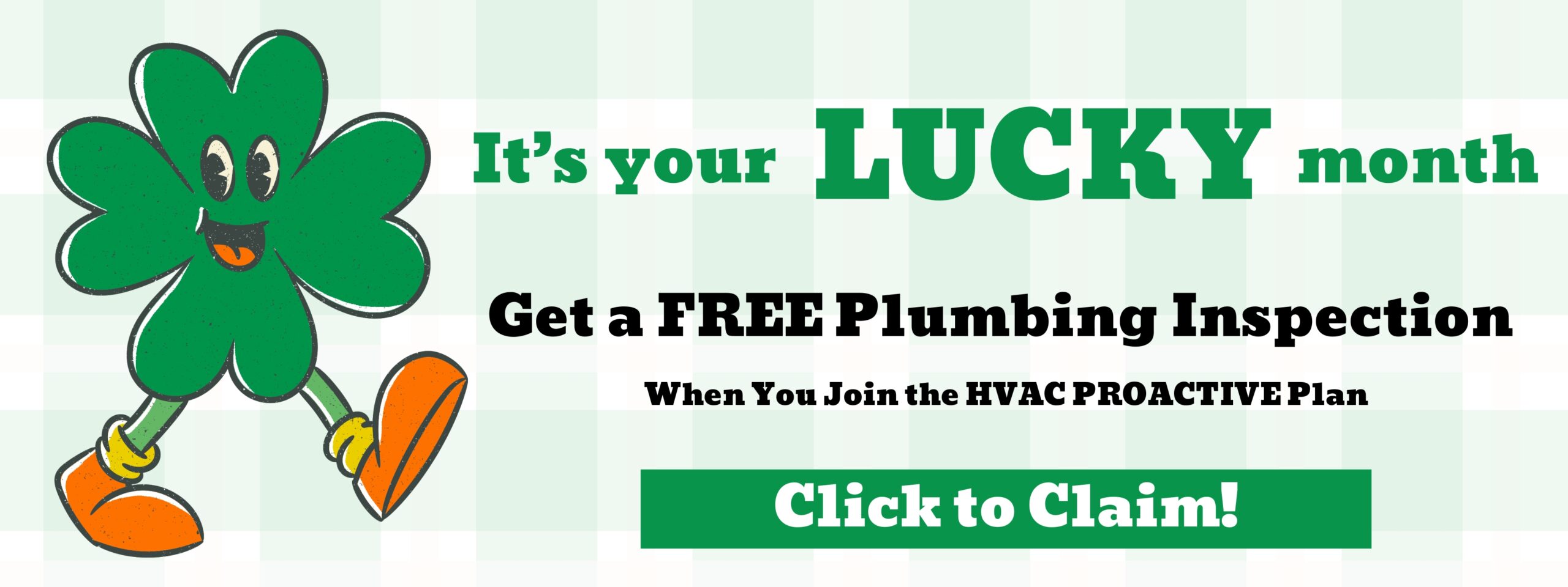 FreePlumbingInspection